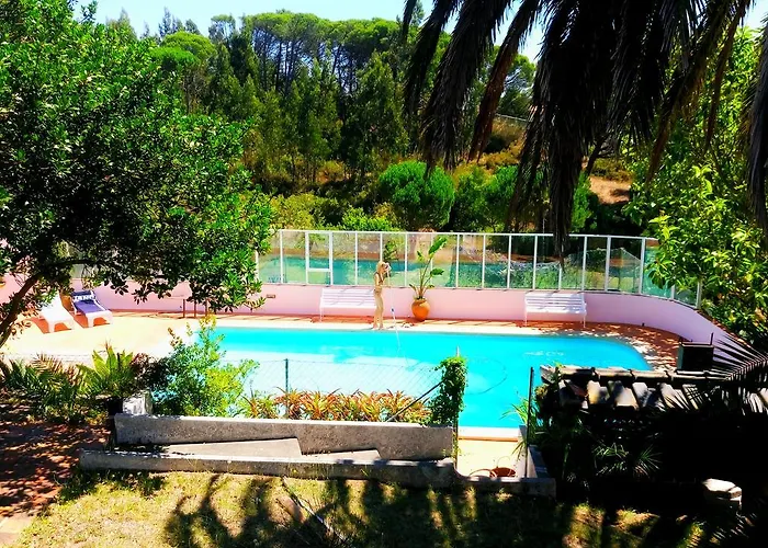 Janga Wonderland Buarcos